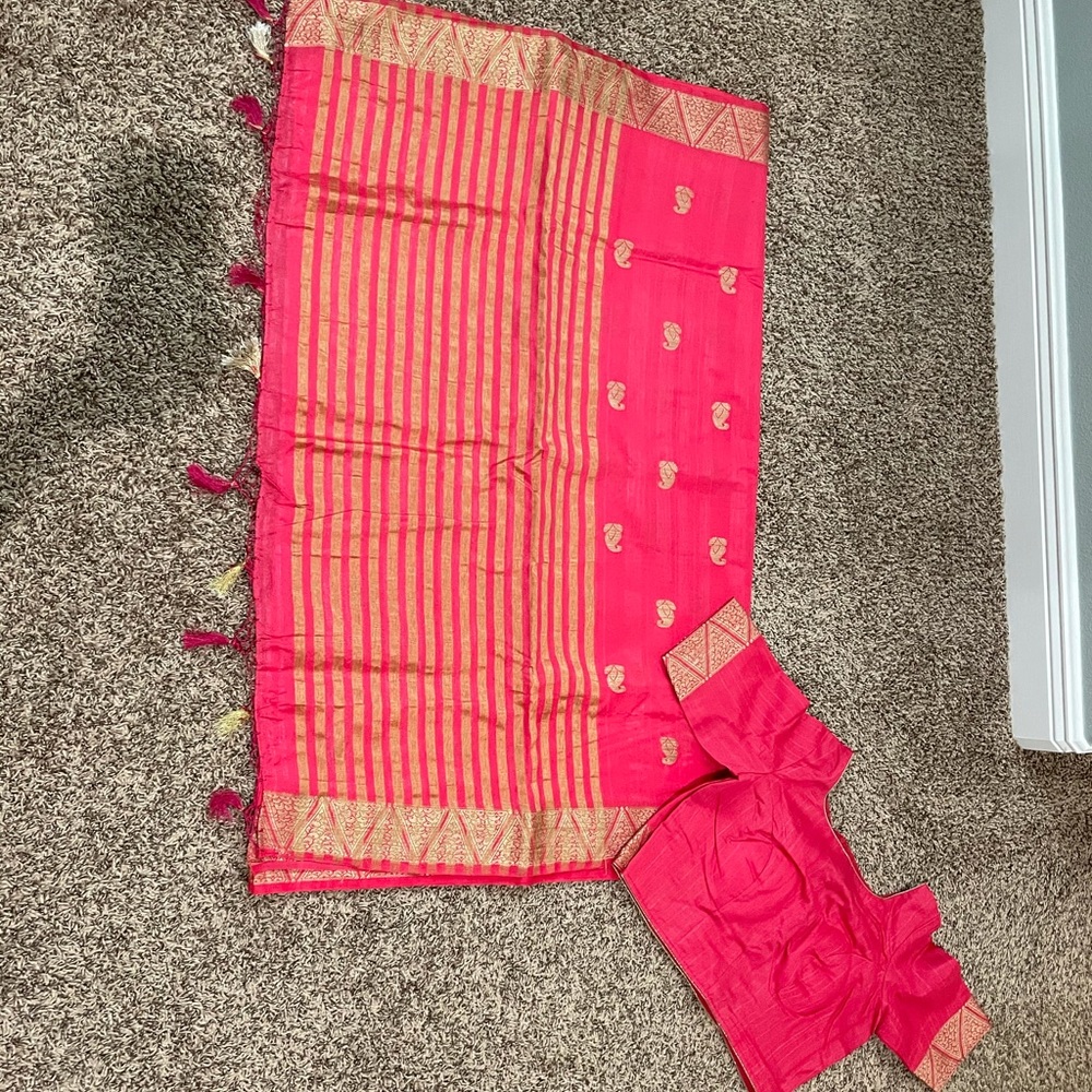 Indian sari and blouse saree